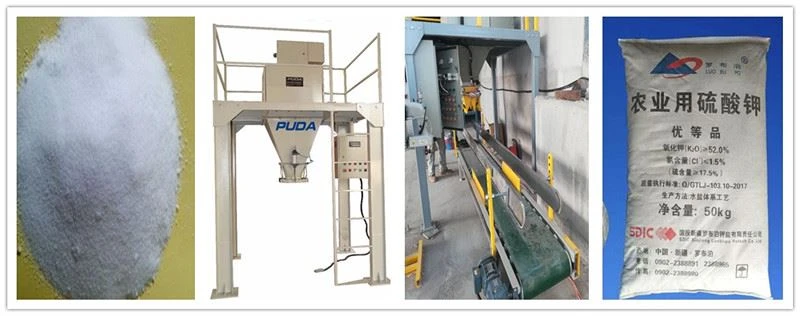 cognition de sélection de type de machine à emballer de poche de valve